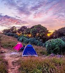 30 Places To Visit In Coorg Tourist Places Top Attractions Places To Visit Tourist Places Cool Places To Visit