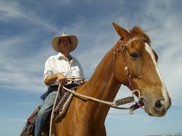 Looking for a current picture of nathan lee chasing his horse. My Kingdom For A Horse The Celebrity Whisperer