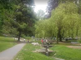 Hanshaugen var i 1629 en del av bymarka, og ble brukt av byens innbyggere som beitemark for husdyr. Tur I St Hanshaugen Park