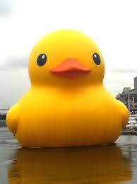 We did not find results for: 50 Giant Rubber Duck Wallpaper On Wallpapersafari
