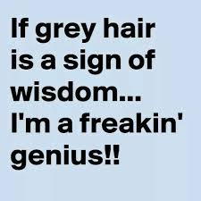 Memes For Men Pt 45 Grey Hair Funny Quotes Hair Quotes Funny Grey Hair Quotes