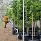 Arboretum Plant Sale