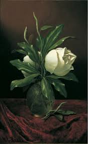 Magnolia photography was born from our love for this art, grew up during years through travel, life experiences and the curiosity of discovering new ways to express feelings, moods and points of view. Two Magnolia Blossoms In A Glass Vase Morris Museum Of Art
