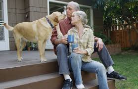 How long should you wait before getting your next dog? Grieving The Death Of A Pet
