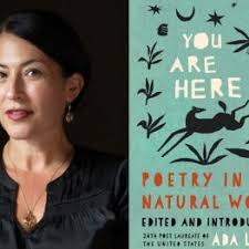 Book Review: Maggie & Abby's Neverending Pillow Fort