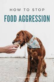 Often in cases of food bowl aggression, our instinct is to show fido who's the boss. How To Stop Food Aggression In Dogs Pawleaks Food Aggression In Dogs Aggressive Dog Dog Training