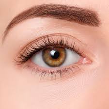 Image result for xantelasma