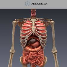 Pin On 3d Printing For Animation