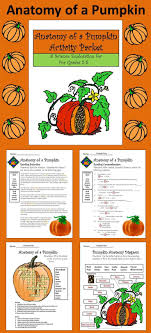 Anatomy Of A Pumpkin Science Activity Packet Bundle Pumpkin Activities Pumpkin Pumpkin Science Activities