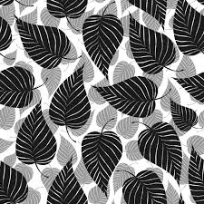Black And White Floral Pattern Png Leaf Nature Pattern Green Plant Fern Leaves Wallpaper Floral Texture Design Abstract Illustration Tr Watercolor Flower Illustration Abstract Patterns In Nature