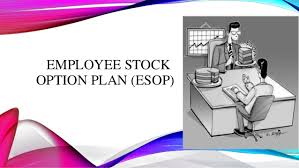 Employee share option scheme (esos) is a tailored credit facility extended to the eligible company employees to exercise their share option, which has been allocated to them by their employer. Employee Stock Option Plan For An Unlisted Company Neeraj Bhagat Co
