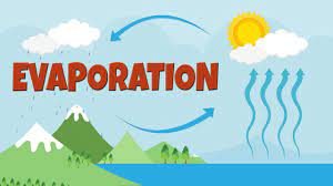 The process of a liquid changing to a gas, especially by heating: What Is Evaporation How Salt Is Made Evaporation Process Facts Evaporation Video For Kids Youtube
