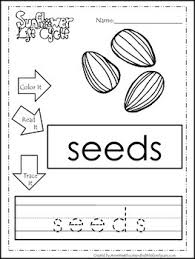 Free printable summer season flashcards in pdf. 9 Life Cycle Of A Sunflower Printable Preschool Worksheets Color Read Trace