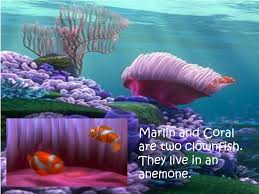 You know, the one where a barracuda comes up and attacks nemo's parents and all of their eggs that evil barracuda from finding nemo is stuffed and mounted on the wall of the antique shop in toy. Ppt Finding Nemo Powerpoint Presentation Free Download Id 1940304