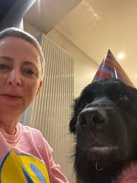 Life with BorderCollie