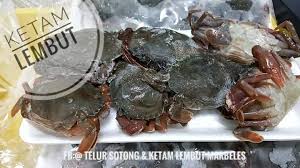 Makan ketam dgn kulitnya sejuk beku mentah runcit dan borong ajen/stokis/restoran di cari 018 2566 246 018 6650 316 fb ssc crunchy crab. Telur Sotong Ketam Lembut Marbeles Teluk Intan Teluk Intan 2021