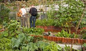 Glovers Sydney S Heritage Garden A Photo Essay Paisagismo Inspiracao