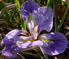 9401 sw state rd 200 ste 3001. Florists