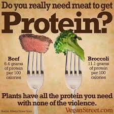 Dr bill's simple macronutrient calculator for carbohydrate, protein & fat calories and grams. How To Calculate Grams Of Protein From Percentage The Y Guide