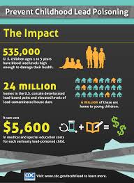 Image result for Lead Poisoning