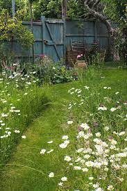 It's the perfect place to entertain, play with the dog, or just sit and read a book. How To Create A Beautiful Mini Meadow Garden The Middle Sized Garden Gardening Blog