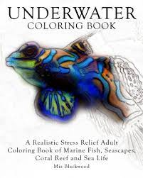 Coloring pages for kids and adults. Underwater Coloring Book A Realistic Stress Relief Adult Coloring Book Of Marine Fish Seascapes Coral Reef And Sea Life Advanced Realistic Coloring Books Band 6 Blackwood Mia Amazon De Bucher
