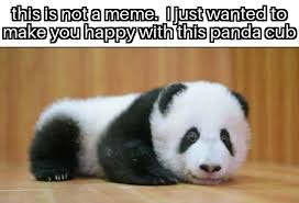 Do not post memes of you or your. Just To Make You Feel Happy Because I Know That It Can Be Hard These Days Stay Positive Memes
