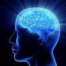 images?q=tbn:ANd9GcRFERNYO79i6Q2_bp__S5otGc2dnKBW308CzdOzq9RCs1Riw_QqVx5WasTkVCzIo0Y5bkA&usqp=CAU