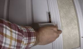 It's all about giving the hinges a bit of lubrication. 5 Easy Ways To Fix Squeaky Door Hinges