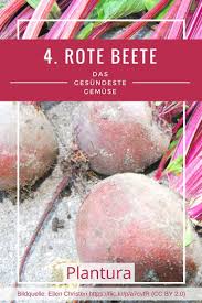 Rote Bete Im Portrait Die Gesunde Rube Aus Dem Eigenen Garten Rote Bete Gesundheit Gesund Leben