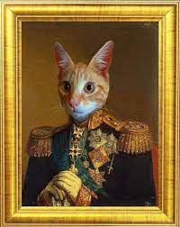 Cat In Military Uniform Portrait