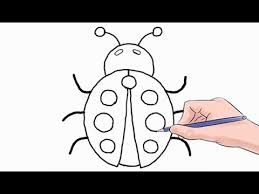 This indicates the thorax, or middle body section, of the bug. How To Draw A Ladybug Easy Step By Step Youtube