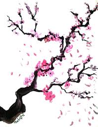 Chinese Blossom Tree Drawing Cherry Blossom Art Cherry Blossom Drawing Cherry Blossom Painting