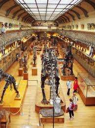 Jardin Des Plantes Botanical Garden Gallery Of Paleontology On Www Travelfranceonline Com Paris Beautiful Paris France Travel