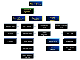 police department organizational structure related keywords