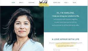 2006 volunteer asa 18 & under fastpitch coach 2. 10 Great Coaching Website Examples Weblium Blog