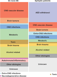 Image result for Status Epilepticus