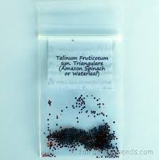 Image result for Talinum fruticosum