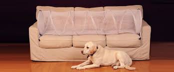 Another solution is to put some kind of obstacle on the couch, such as an upturned basket. Keep Dogs Off Furniture With Couch Defender Keep Dog Off Couch Keep Dogs Off Couch Pet Sounds