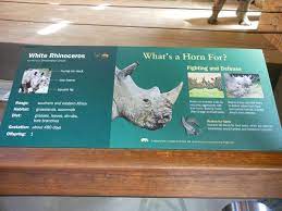 Bronx Zoo Zoo Center White Rhinoceros Exhibit Signage Zoo Signage Zoo Project Zoo Education