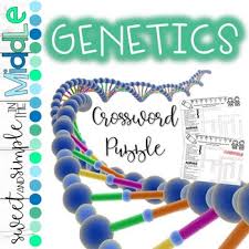 Genetics genotype heterozygous homozygous inheritance karyotype mated mendel ovary phenotype probability recessive trait hidden in the puzzle are all the words listed above. Genetics Crossword Puzzle Activities Worksheets Tpt