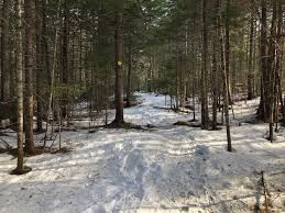 Check spelling or type a new query. Snowshoe Trails At Sugarloaf Outdoor Center