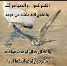 الكفو مدح وفخر مدح الرجال