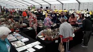 The british cactus & succulent society (bcss) is the primary organisation for anyone interested in learning more about cacti & succulents. British Cactus Succulent Society Glasgow Branch Home Facebook