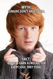 Gingers Don T Have Souls Meme Picture Webfail Fail Pictures And Fail Videos