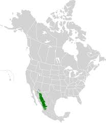 Detailed 6 day hill, mountain and summit forecasts for up to 5 different elevations per mountain. Sierra Madre Occidental On Map Maps Catalog Online