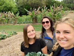 Gleaning for Sustainable Agriculture