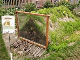 Permaculture Les Buttes De Culture Une Veritable Revolution Jardinage Jardin Permaculture Et Permaculture