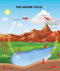 Teaching resource | 1) apakah yang bergerak dari permukaan bumi ke udara dan akhirnya turun ke permukaan bumi semula dalam kitaran air semula jadi? Kitar Air Semulajadi Science Quizizz