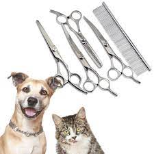 Pin On Dogs Grooming